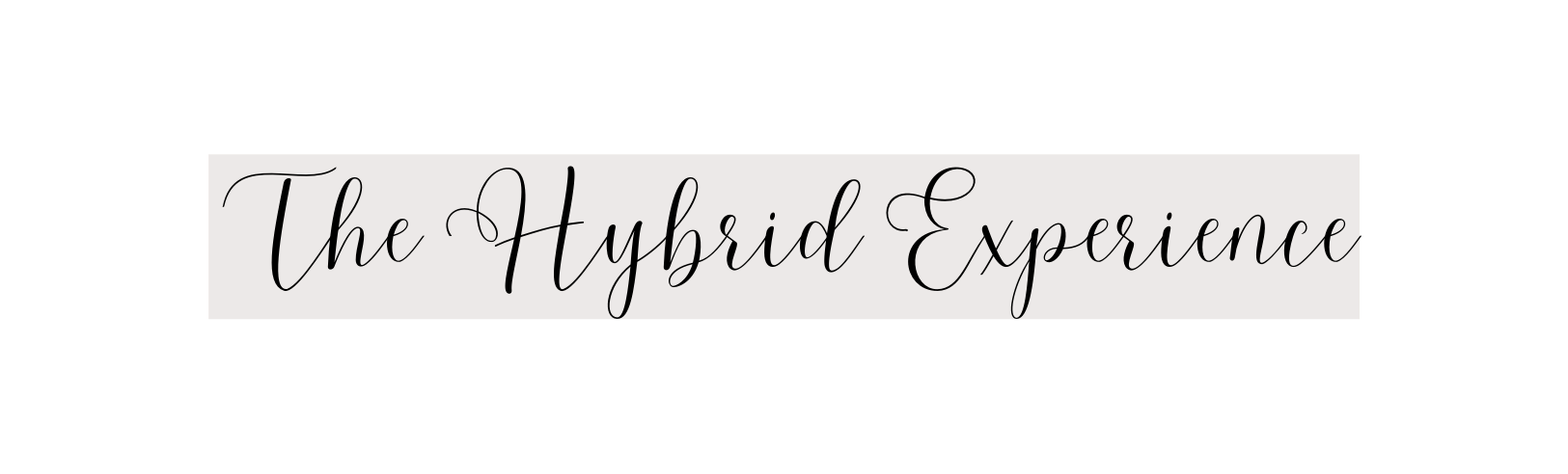 The Hybrid Experience